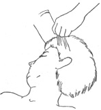 «Вырывание» волос
