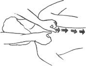 Массаж мышц, расположенных вдоль позвоночника, большими пальцами